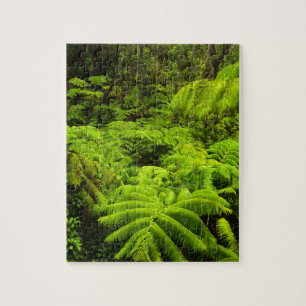 Puzzle Hawaii, Grande Ile, Verdure tropicale luxuriante à