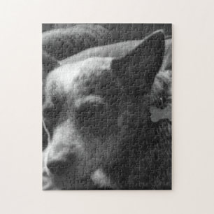 Puzzle Heeler bleu