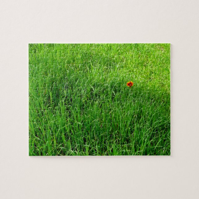 Puzzle Herbe verte très difficile (Horizontal)