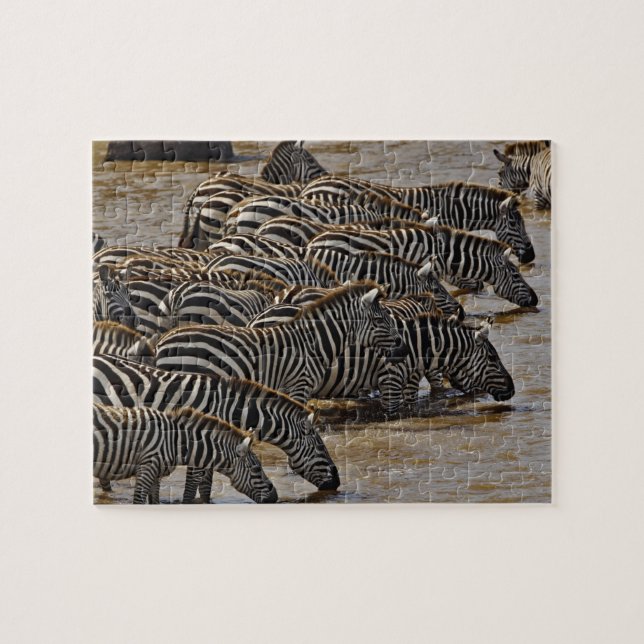 Puzzle Herd of Burchell's Zebras boire de Mara (Horizontal)