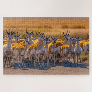 Puzzle Herd Springbok