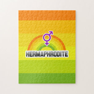 PUZZLE HERMAPHRODITE RAINBOW
