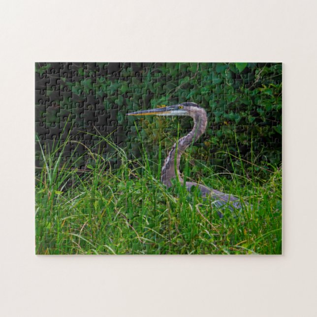 Puzzle Heron Beach Florida. (Horizontal)