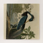 Héron de la Louisiane