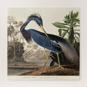 Puzzle Héron de Louisiane de Birds of America