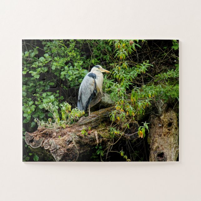 Puzzle Héron. Lac Roath Park, Cardiff, Pays de Galles (Horizontal)
