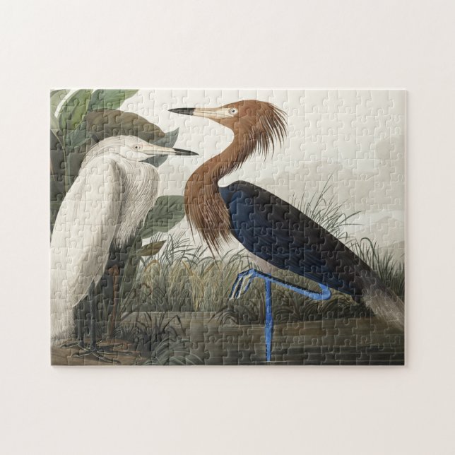 Puzzle Heron pourpre des oiseaux d'Amérique (Horizontal)