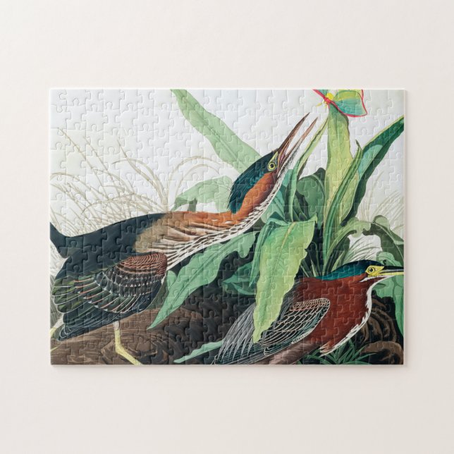 Puzzle Heron vert par John James Audubon (Horizontal)