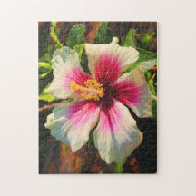 Hibiscus à Oahu, Hawaï