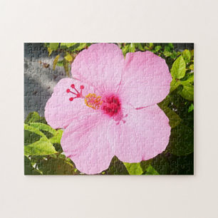 Puzzle Hibiscus rose Fleur tropicale