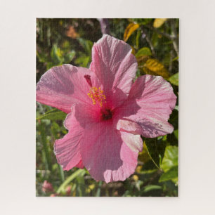 Puzzle Hibiscus tropical rose, Oakland