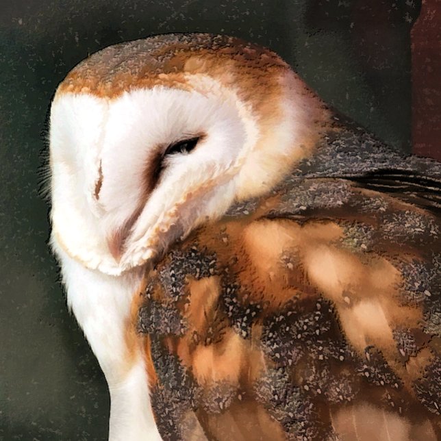 PUZZLE HIBOU (Créateur téléchargé)