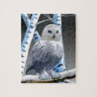 Hibou aux yeux bleus de neige