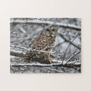 Puzzle Hibou barré