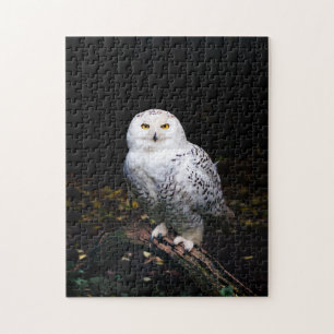 Puzzle Hibou blanc majestueux d'hiver
