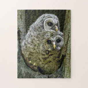 Puzzle Hibou Dans La Famille