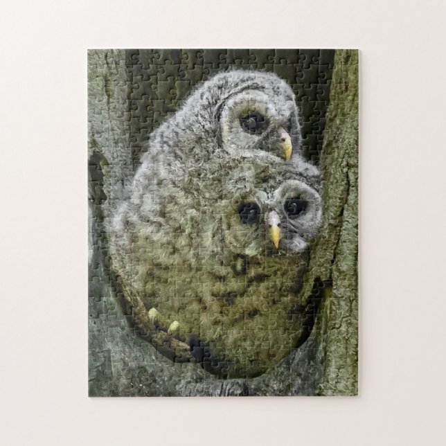 Puzzle Hibou Dans La Famille (Vertical)