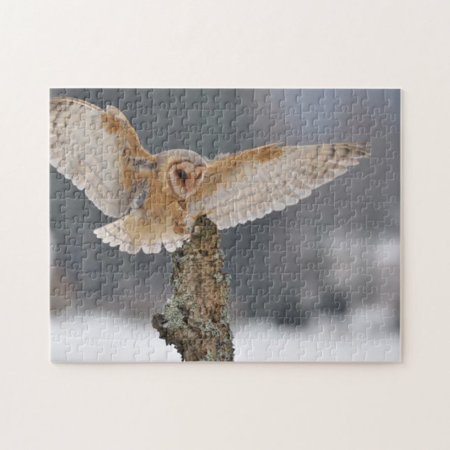 Puzzle Hibou de grange débarquant à la transitoire (Horizontal)
