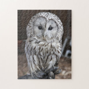 Puzzle Hibou d'Ural