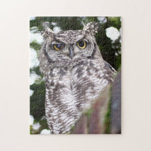 Puzzle Hibou grand duc tacheté oiseau de proie