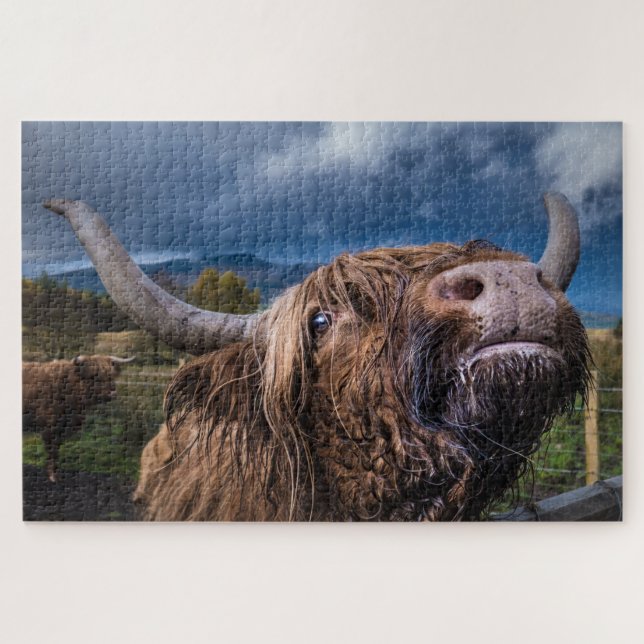 Puzzle Highland Cow, Écosse (Horizontal)