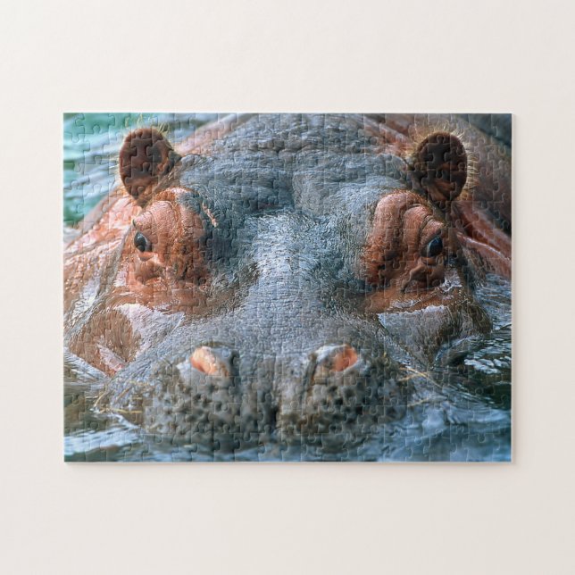 Puzzle Hippopotame #1 (Horizontal)