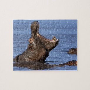 Puzzle Hippopotame (Hippopotame amphibius) dans