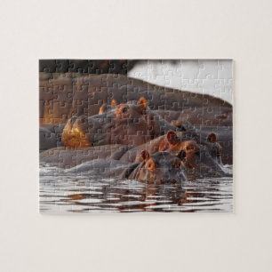 Puzzle Hippopotame, Hippopotamus amphibius, Lac