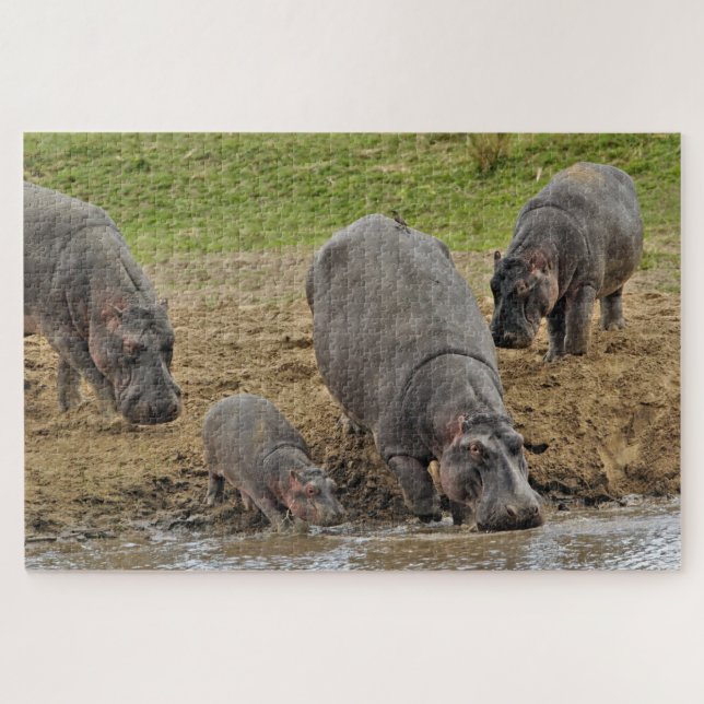 Puzzle Hippopotamus, Hippopotamus amphibius, Serengeti (Horizontal)