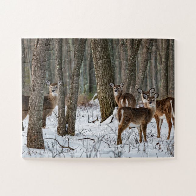 Puzzle Hiver Cerf 14x11 facile (Horizontal)
