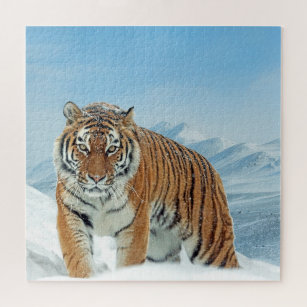Puzzle Hiver Neige Tiger Montagnes Animal Photo tendance