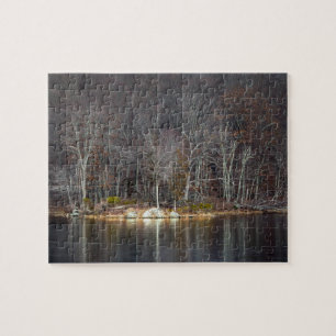 Puzzle Hiver nucléaire