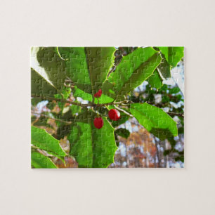 Puzzle Holly Feuilles II Vacances Nature Botanique