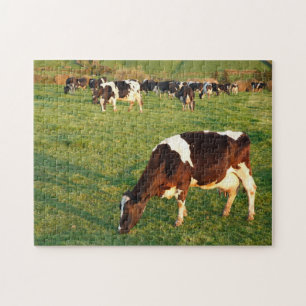 Puzzle Holstein