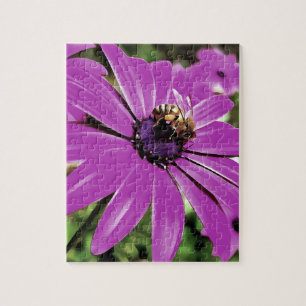 Puzzle Honey Bee Sur Un Daisy Africain Violet