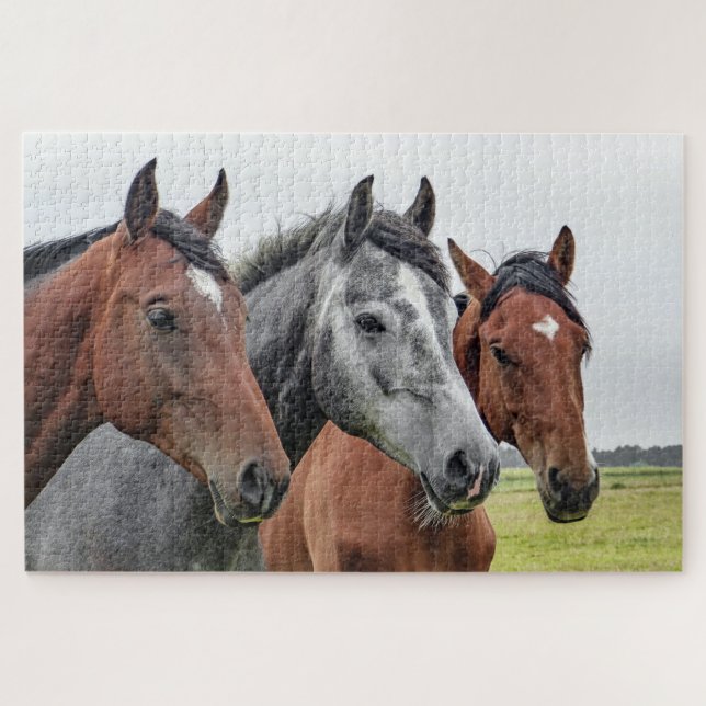 Puzzle Horaires Ferme Animaux Nature (Horizontal)