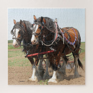 Puzzle Horses Plowing