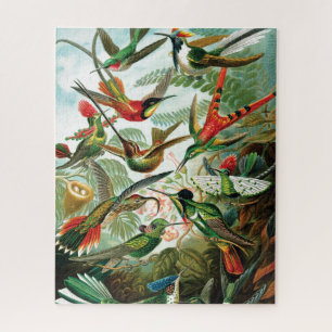 Puzzle Hummingbirds par Ernst Haeckel