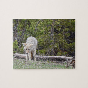 Puzzle Hungry Like a Wolf - Yellowstone - 8x10 - 110 pcs