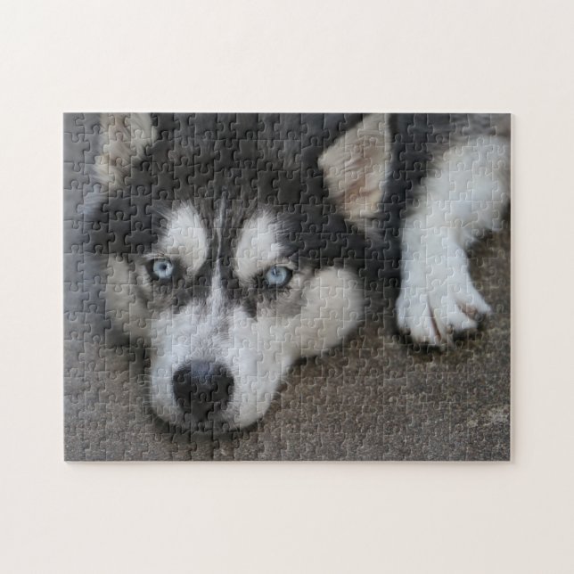 Puzzle Huskey Blue Eyes (Horizontal)