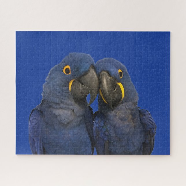 Puzzle Hyacinth Macaw (Horizontal)