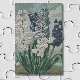 Puzzle Hyacinthes (1807) – Exquise botanique vintage