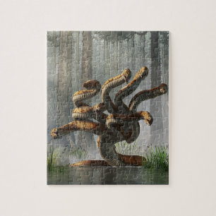 Puzzle Hydra