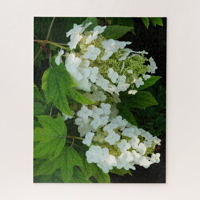 Puzzle Hydrangea à feuilles de chêne (Vertical)
