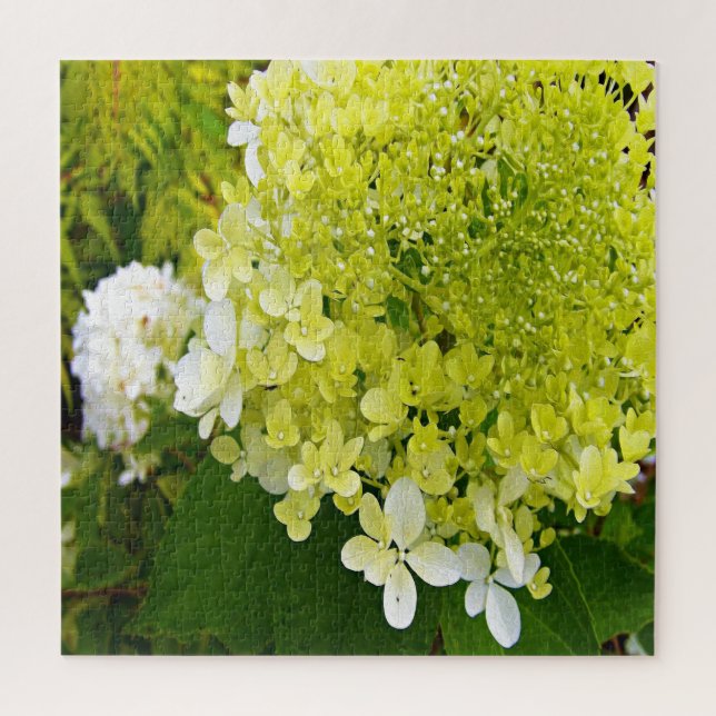 Puzzle Hydrangea Limelight Vert Chartreuse Élégant (Vertical)