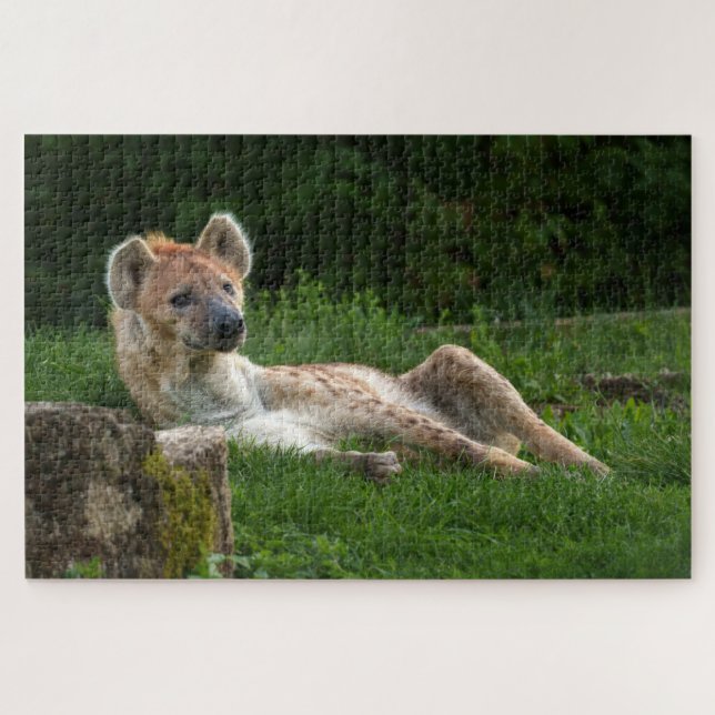Puzzle Hyena et ses sourires de la nature (Horizontal)