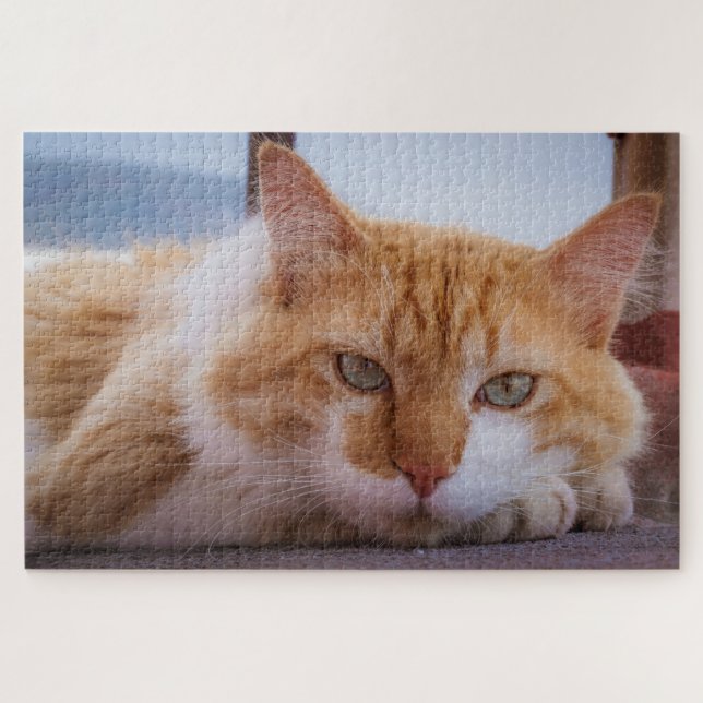 puzzle hypnotique (Horizontal)