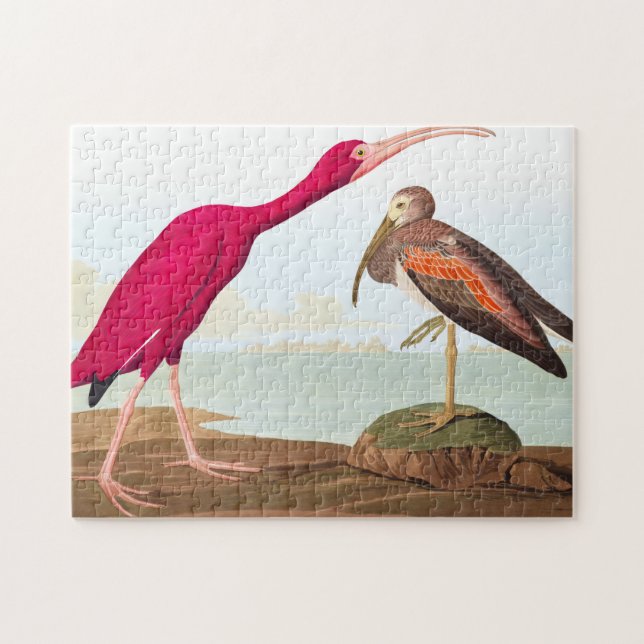 Puzzle Ibis de Scarlet par John James Audubon (Horizontal)