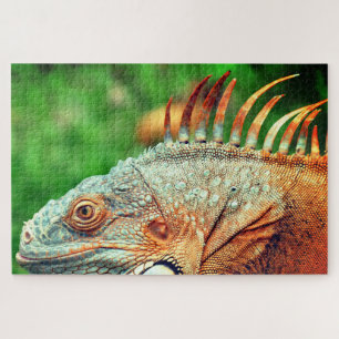 Puzzle Iguana