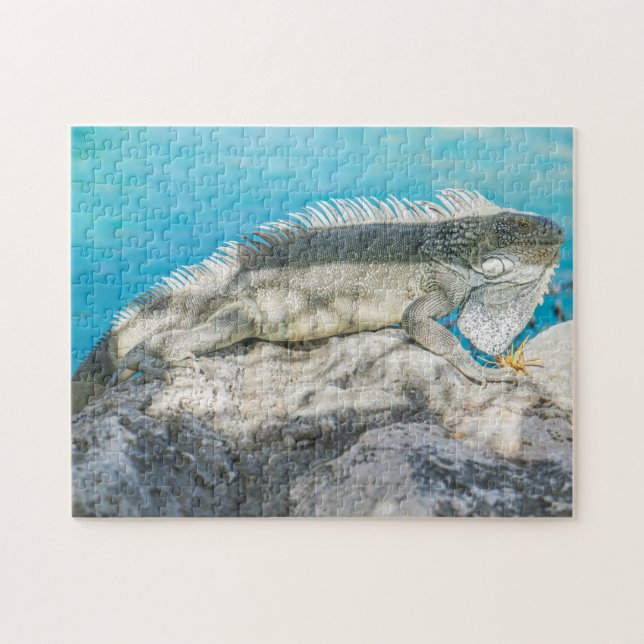 Puzzle Iguana bronzer sur Beach Rock (Horizontal)